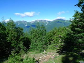 010.JPG