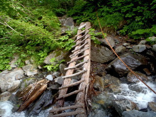 P7110126.JPG